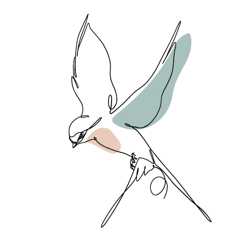 Pomôžme lastovičkám a belorítkam pri hniezdení — aj malá zmena môže znamenať veľký rozdiel